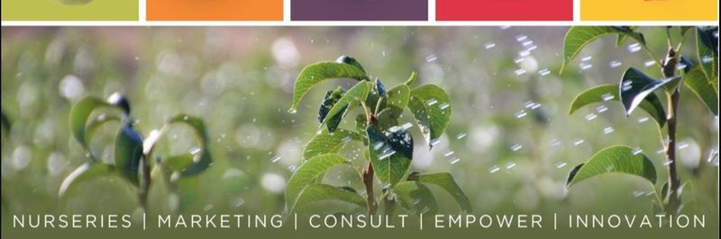 Stargrow Fruit Marketing - supplier and manufacturer from 남아프리카공화국