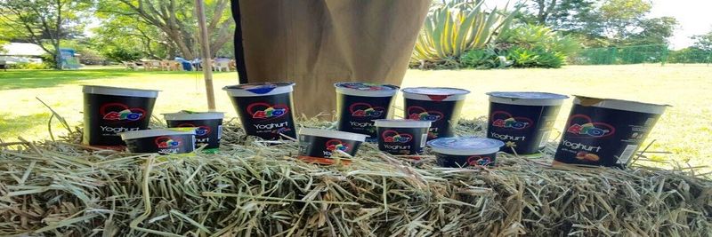 Bio Food Products Ltd. - supplier and manufacturer from 케냐
