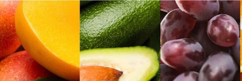 Itaben Expoperu S.A.C. - supplier and manufacturer from Peru