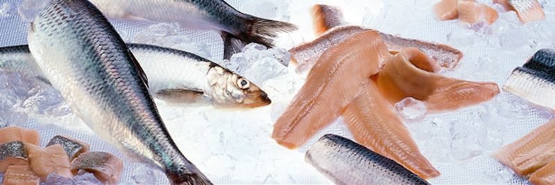 TRIFONIDIS, PAVLOS, SA - supplier and manufacturer from 그리스