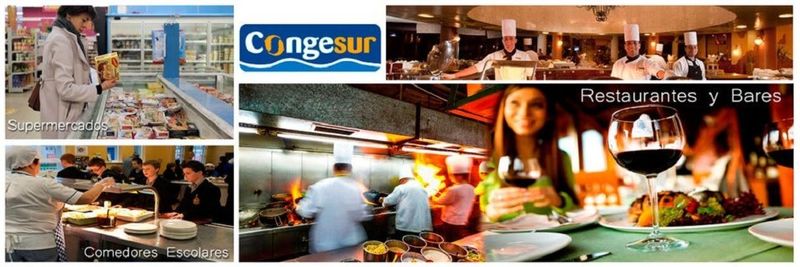 Congesur, S.c.a. - supplier and manufacturer from Spain