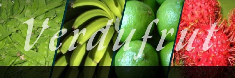 Verdufrut Guatemala - supplier and manufacturer from 과테말라