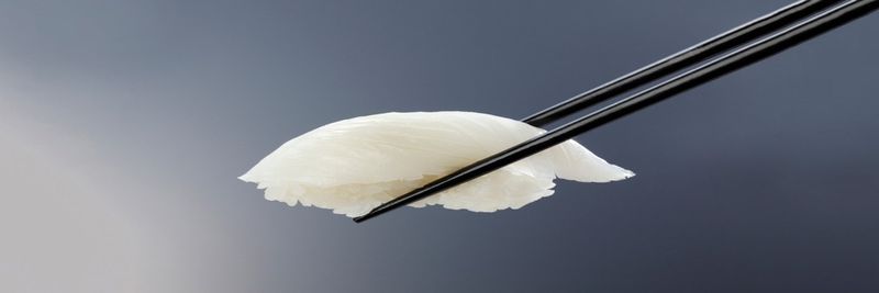 NORDIC HALIBUT AS - supplier and manufacturer from 노르웨이