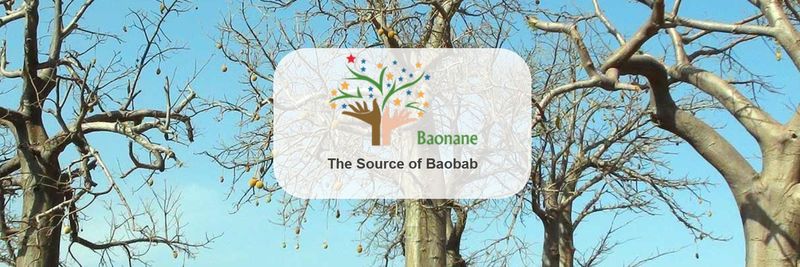 Baonane SAR - supplier and manufacturer from Senegal