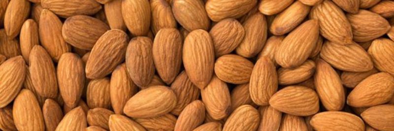 Amendouro - Comércio e Indústria de Frutos Secos, S.A. - supplier and manufacturer from 포르투갈
