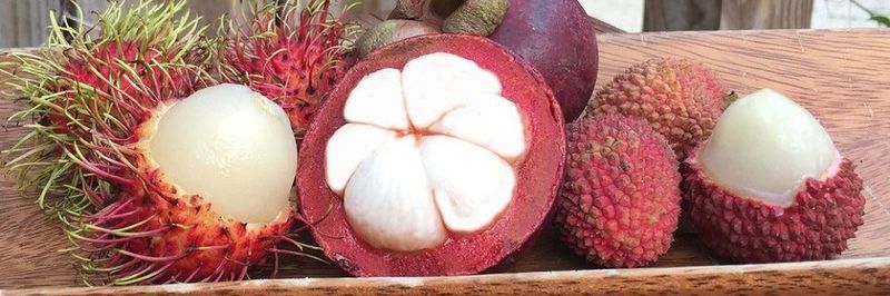 Ecoripe Tropicals, Inc. - supplier and manufacturer from United States