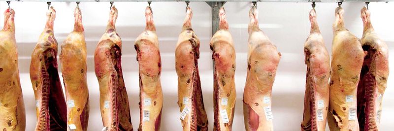 Euro Meat Group - supplier and manufacturer from 벨기에