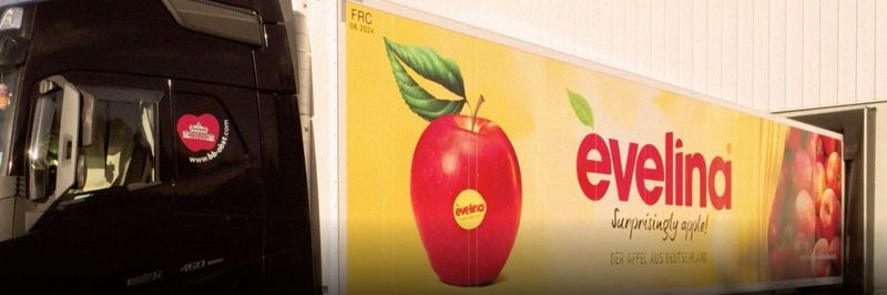 BB Brandenburger Obst GmbH - supplier and manufacturer from 독일
