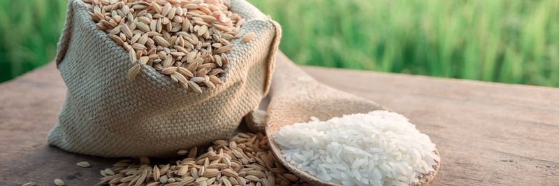 S&B Herba Foods Limited - supplier and manufacturer from 영국