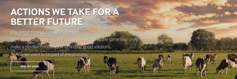 ARLA FOODS SP. Z O.O. - supplier and manufacturer from 폴란드