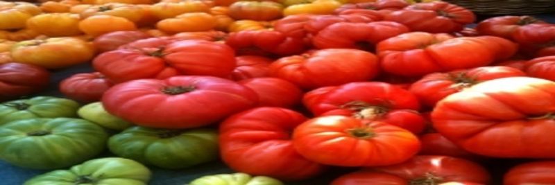 Happy Boy Farms - supplier and manufacturer from United States