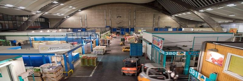 Hermann Albers Obst & Gemüse GmbH - supplier and manufacturer from Germany