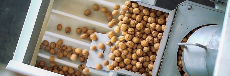 Frutas de Exportacion SA - supplier and manufacturer from 칠레