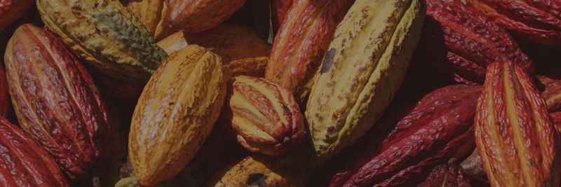 ASOCIACION NACIONAL CACAOTERA DE COLOMBIA - supplier and manufacturer from Colombia