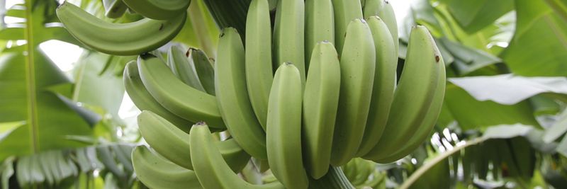 BioTropic GmbH - supplier and manufacturer from Germany