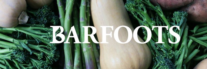 Barfoots of Botley Ltd - supplier and manufacturer from 영국
