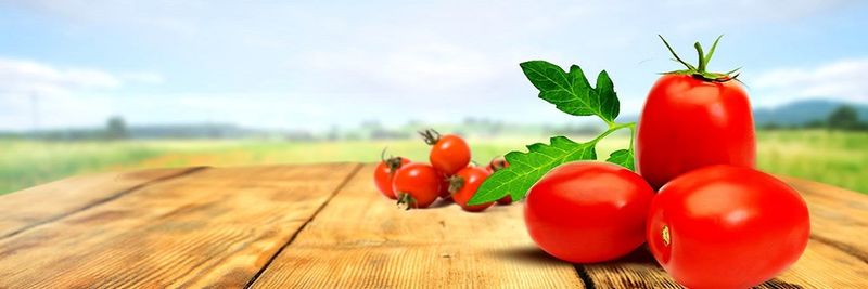 Has Celik Sebze Meyve Isleme Tarim Ve Gida Urunleri Depolama Sanayi Ve Ticaret Ithalat Ihracat Limited Sirketi - supplier and manufacturer from 튀르키예