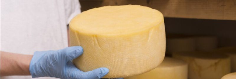 Dairy Niesky GmbH - supplier and manufacturer from 독일