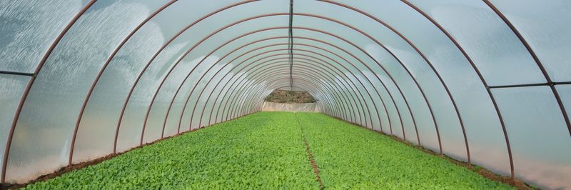 Agro Circe 2000 Soc. Coop. - supplier and manufacturer from 이탈리아