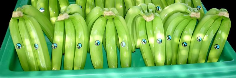Cooperativa Agraria Apbosmam - supplier and manufacturer from 페루