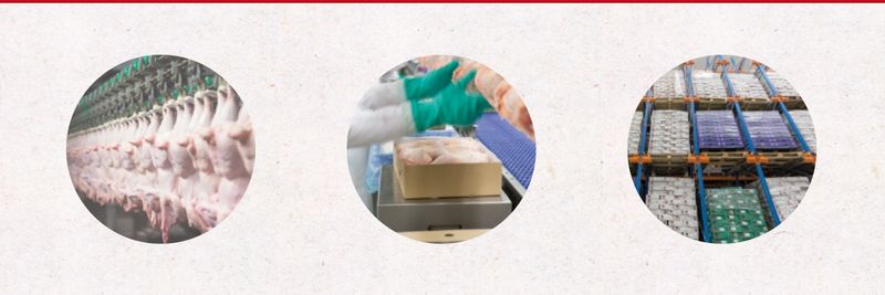 Artislach - supplier and manufacturer from 벨기에