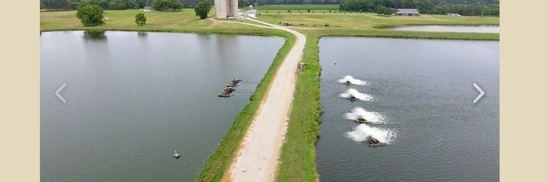 Prime Line Catfish, Inc. - supplier and manufacturer from United States