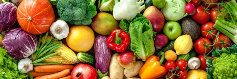 Hongxiang Agricultural Products Processing Factory - supplier and manufacturer from 대만