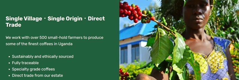Kingha Coffee Company - supplier and manufacturer from Uganda