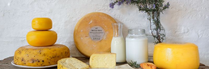 Montagu Cheese - supplier and manufacturer from 남아프리카공화국