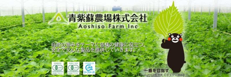 Aoshiso Farms Inc. - supplier and manufacturer from 일본