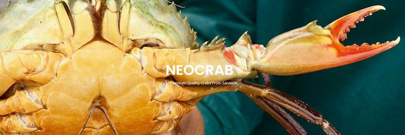 Neo Crab - supplier and manufacturer from 말레이시아