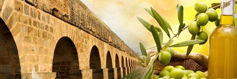 SHEYLUS GROUP - supplier and manufacturer from Tunisia