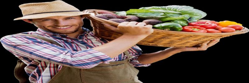 AAK International - supplier and manufacturer from United Arab Emirates