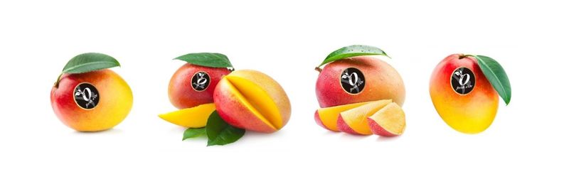 Fresh Dor SL - supplier and manufacturer from Spain
