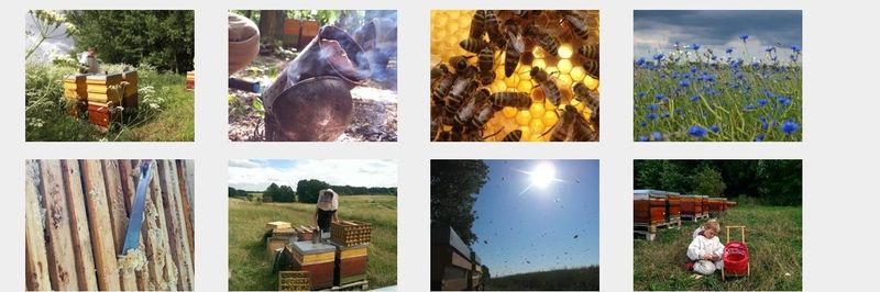 Beekeeping Seusing - supplier and manufacturer from Germany