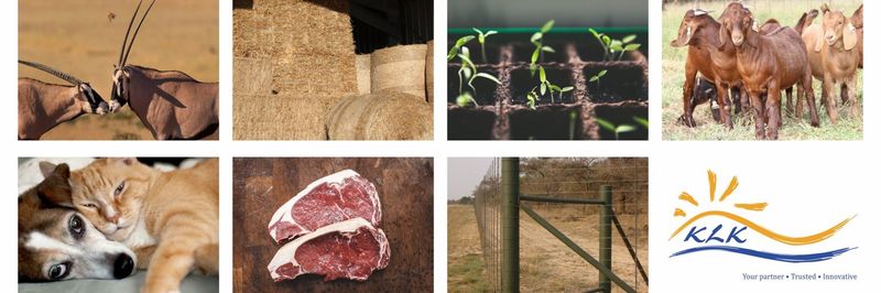 KLK Landbou Limited - supplier and manufacturer from 남아프리카공화국