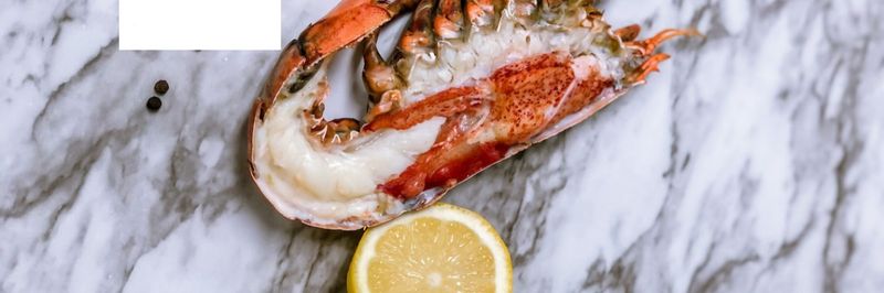 Gidney Fisheries Limited - supplier and manufacturer from 캐나다