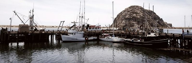 Central Coast Seafood Inc - supplier and manufacturer from 미국