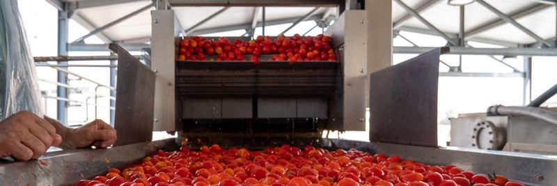 Gustibus Alimentari - supplier and manufacturer from Italy