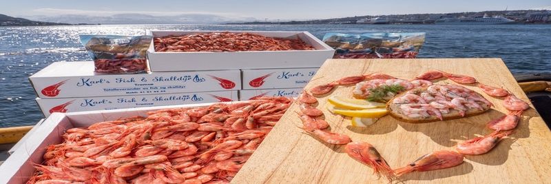 Karls Fisk & Skalldyr AS - supplier and manufacturer from Norway