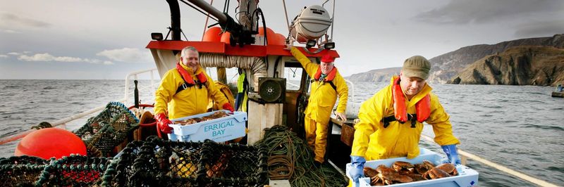 Errigal Bay - supplier and manufacturer from 아일랜드