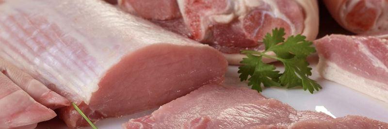 FRISELVA - supplier and manufacturer from Spain