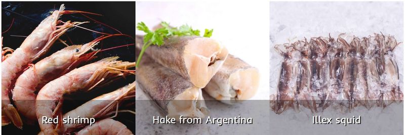 Cabo Virgenes S.R.L. - supplier and manufacturer from 아르헨티나
