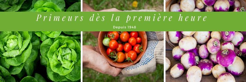 Laurance primeurs - supplier and manufacturer from 프랑스
