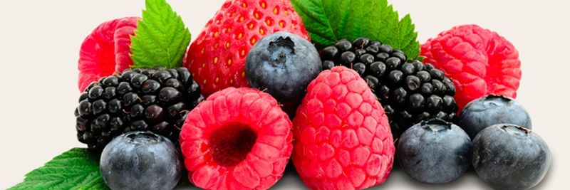 WB Chambers Farm Ltd - supplier and manufacturer from 영국