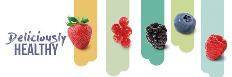 EUROBERRY - supplier and manufacturer from Spain