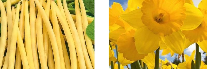 Gospodarstwo Ogrodnicze - Agrobiz.pl - supplier and manufacturer from 폴란드