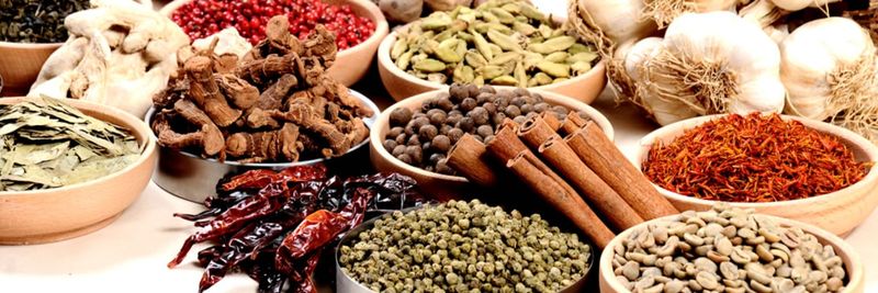 GunDess Food - supplier and manufacturer from Turkiye