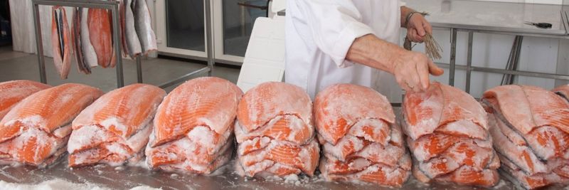 Fano Salmon - supplier and manufacturer from 덴마크