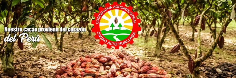 Asociacion De Productores Cacao Alto Huallaga - supplier and manufacturer from Peru